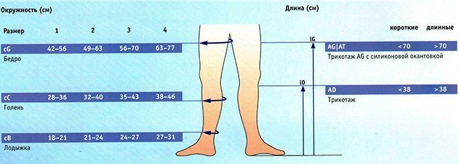 BAUERFEIND VenoTrain discretion_подбор размера.jpg BAUERFEIND VenoTrain discretion_подбор размера.jpg