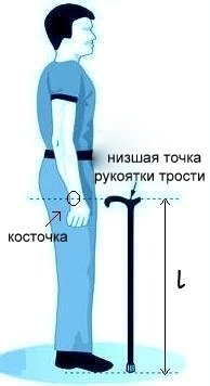 Трость_подбор размера.jpg