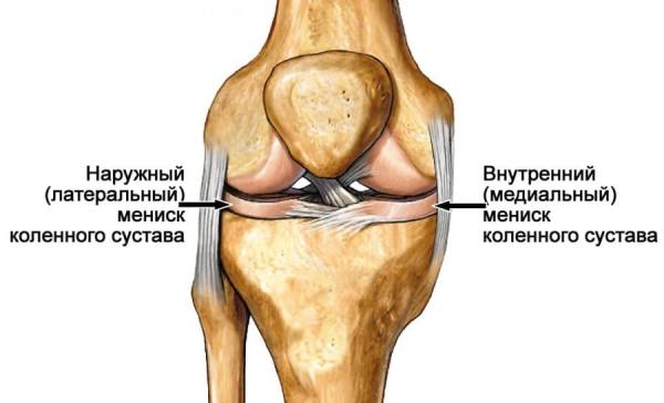 мениск.jpeg