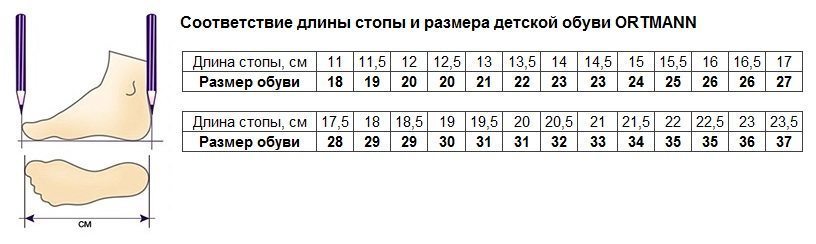 Подбор размера_детская обувь Ortmann.jpg Подбор размера_детская обувь Ortmann.jpg