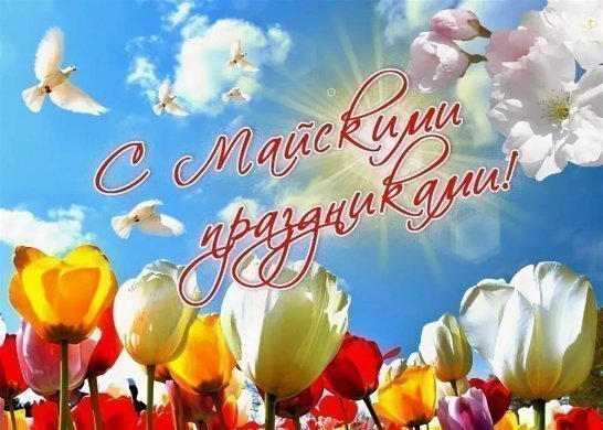 Режим работы салонов “Техника Здоровья” в майские праздники